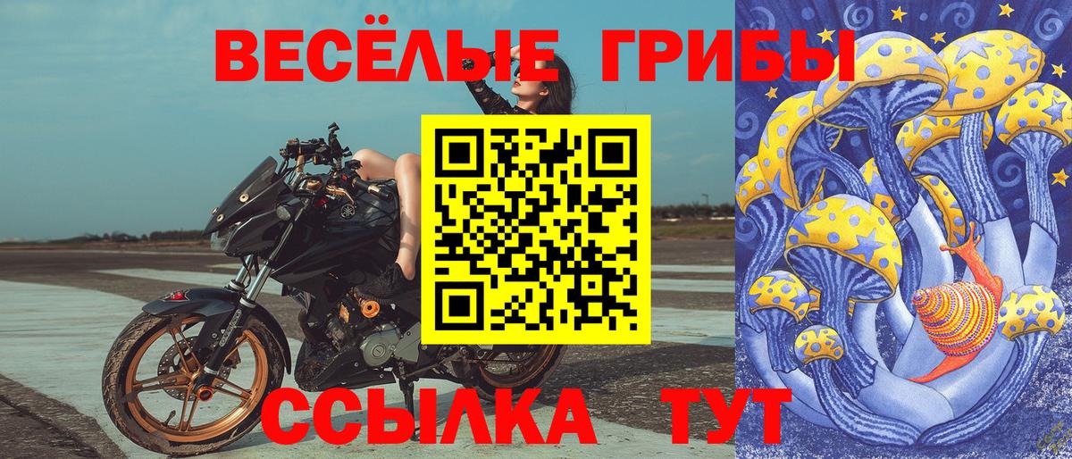 Галлюциногенные грибы Psilocybine cubensis Уссурийск